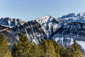 panorama de los dolomitas con picos nevados y coníferas foto