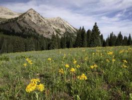 East Beckwith Mountain by Kebler Pass