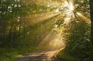 Sun rays cover a small mountain road in morning hours.