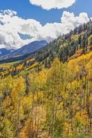 Fall in the Rocky Mountains