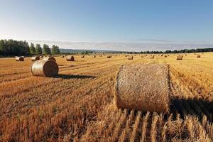 The field of haystacks #3