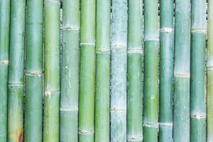 bamboo fence background photo