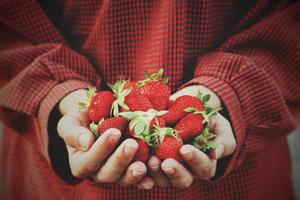 persona sosteniendo fresas foto