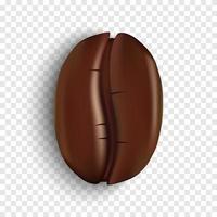 Realistic coffee bean on transparent background vector