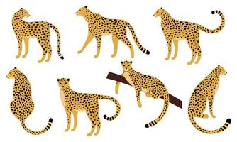 conjunto de diseños dibujados a mano de leopardos vector