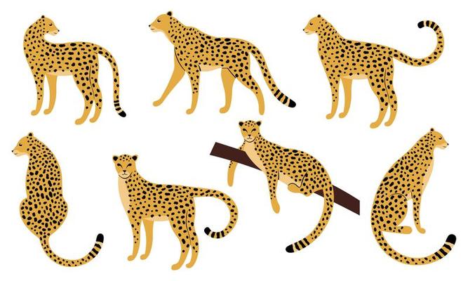 Set of hand drawn designs of leopards