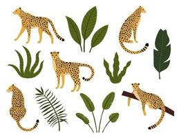 colección de leopardos, hojas exóticas, plantas tropicales vector