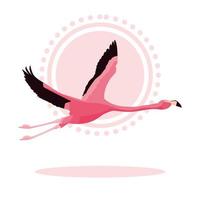 hermoso pájaro flamenco volando vector