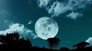 stor måne på natten
