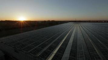 Top view of the huge glass roof of the greenhouse. video