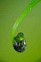 water drop on leaf  background photo