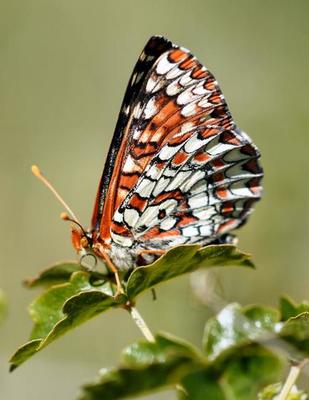 Variables Stock Photos, Images and Backgrounds for Free Download