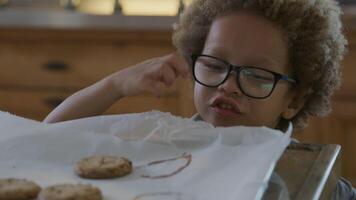 Chico contando galletas recién horneadas en la bandeja para hornear video