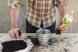 Man taking soil to fill a potted plant photo