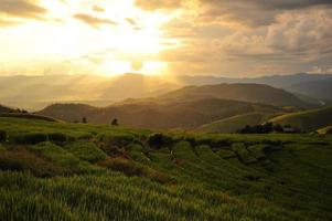 paisaje de campos de arroz en terrazas en la montaña