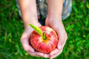 manzana fresca en la mano de un niño
