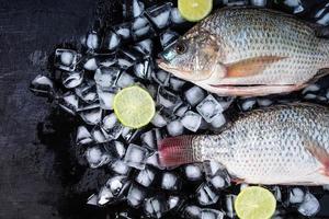 Fresh tilapia fishes on ice with lemons photo