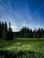 Green grass field under blue sky photo