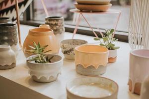 Succulents in ceramic pots photo