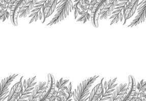 Hand Drawn Tropical Plants Leaf Sketch Background vector