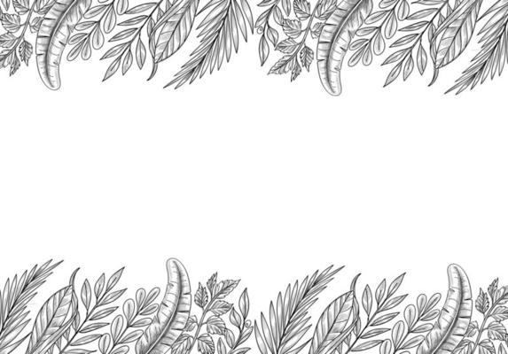 Hand Drawn Tropical Plants Leaf Sketch Background