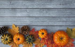 Autumn Thanksgiving Background photo