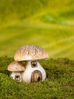 Gnome house toadstools