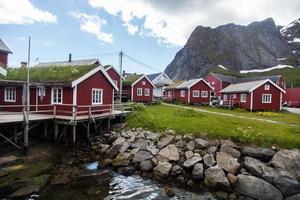 Traditional houses in Lofoten, Norway photo