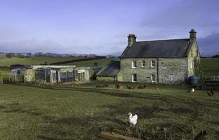 Traditional stone farmhouse, chickens, Glaisdale, Yorkshire, UK.