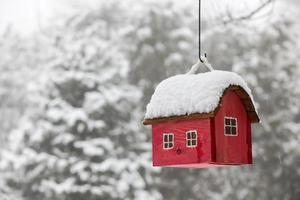 casa de pájaros con nieve en invierno foto