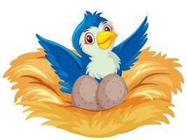 Blue bird on the nest with eggs vector