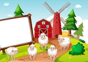 Sheeps in farm and blank banner vector