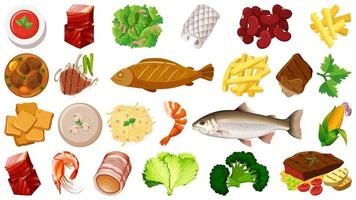 Set of fresh food ingredients vector
