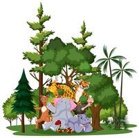 A group of wild animals characters outdoors