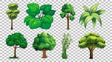 conjunto de árboles y plantas. vector