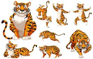 Cartoon character tiger set vector