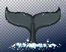 diseño de clip art de cola de ballena vector