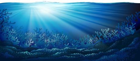 Underwater ocean scene background vector