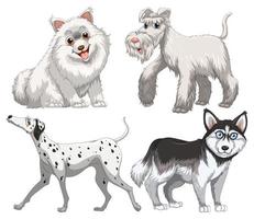diferentes tipos de perros vector