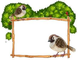 Frame template with two sparrows vector