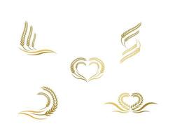 Set of wheat images design vector