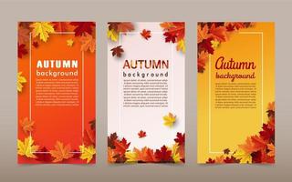 Autumn maple leaf background banners vector