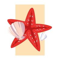 diseño de concha y estrella de mar océano vector