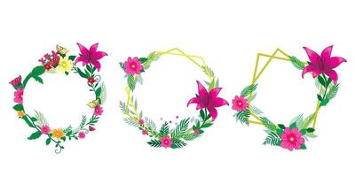 conjunto de marcos florales vector