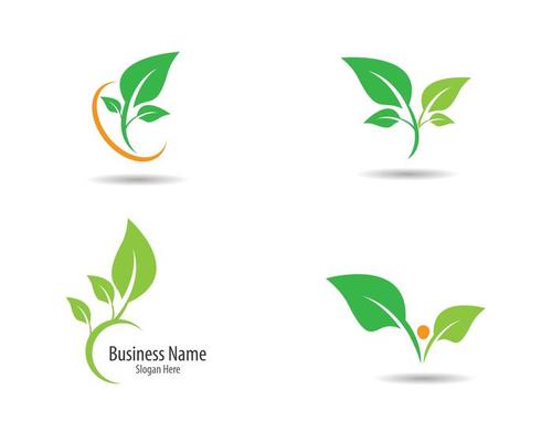 Green Leaf Set