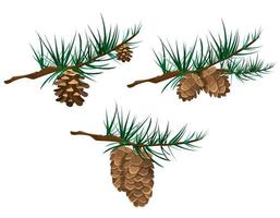 Set of cones on branches. vector