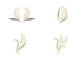 Set of wheat logo images vector