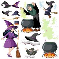 Set of wizard or witches and magic tools vector