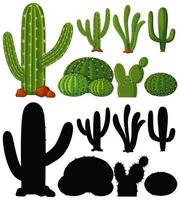 Set of cactus plant vector