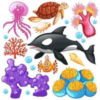 Conjunto de criaturas marinas sobre fondo blanco. vector